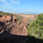 OTRA2013_2119 (July 21, 2013)